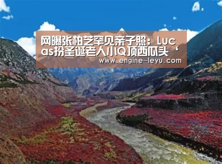 网曝张柏芝罕见亲子照:Lucas扮圣诞老人小Q顶西瓜头‘乐鱼官网’(图2) 乐鱼官网
