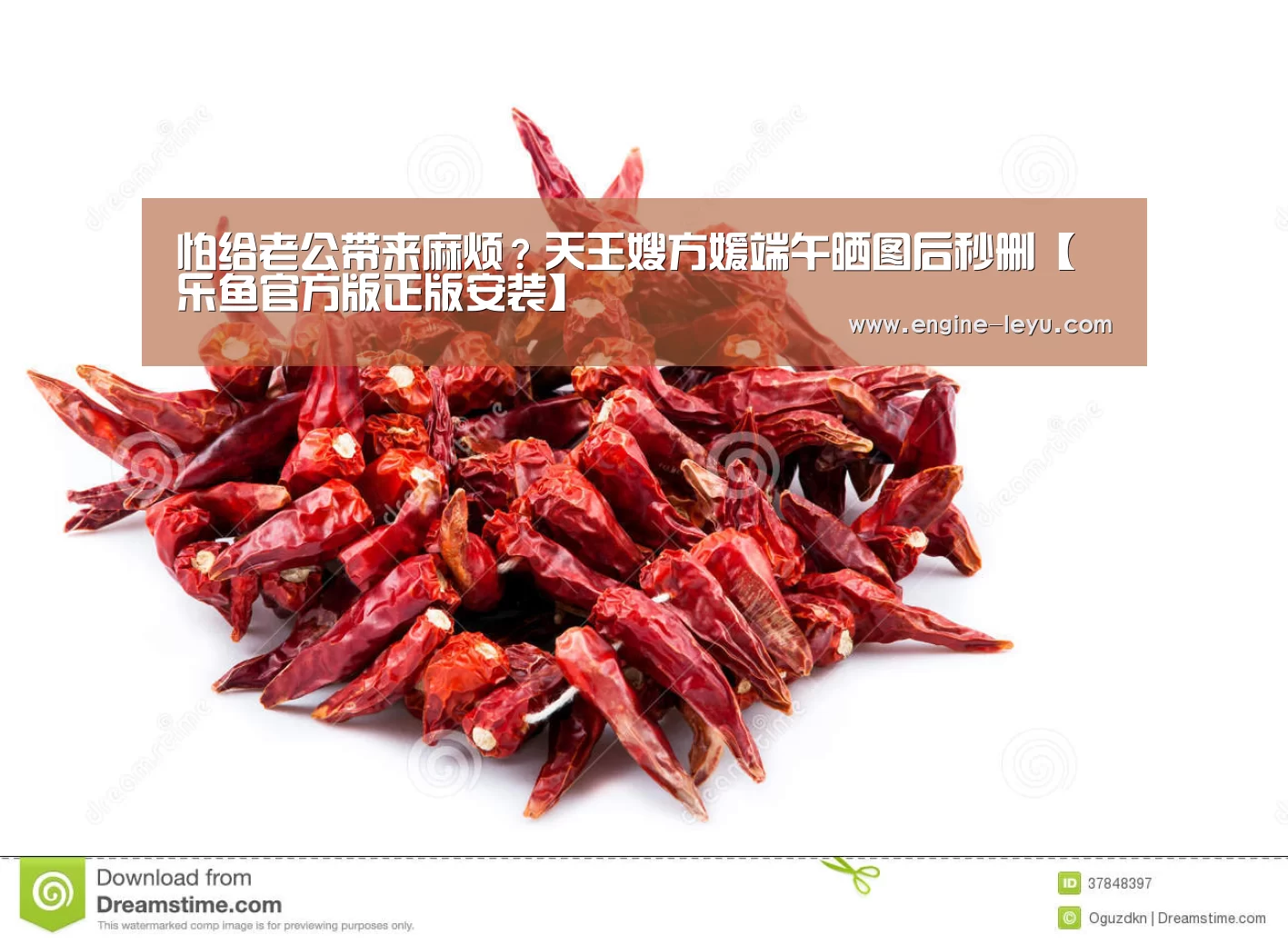 乐鱼