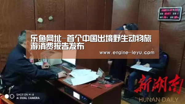 乐鱼官方版正版安装