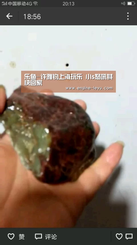 乐鱼-许雅钧上海玩乐 小s怒吼其快回家(图2) 乐鱼